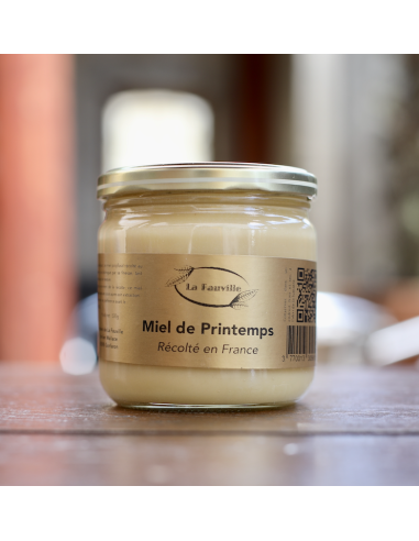 Miel de printemps 500g