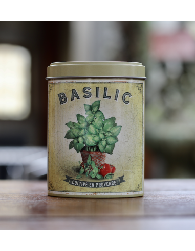 Basilic