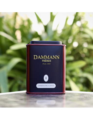 Thé Vrac Darjeeling DAMMANN